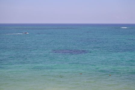 �J���N���U�Q