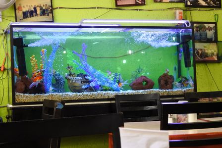 �J���N���V�O