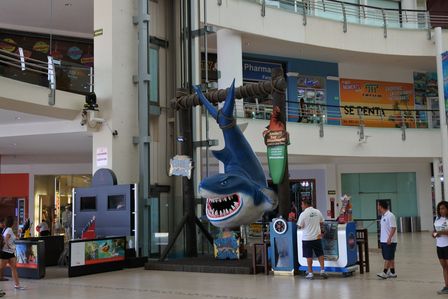 �J���N���P�W