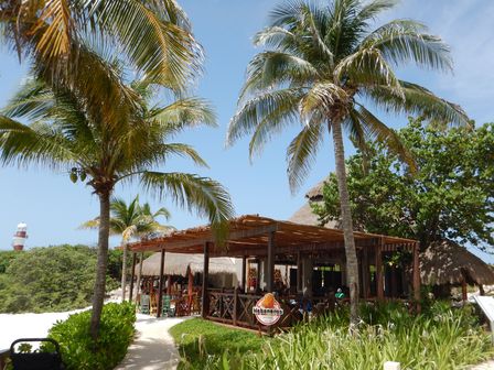 �J���N���Q�T