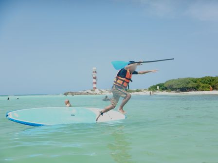 �J���N���R�X