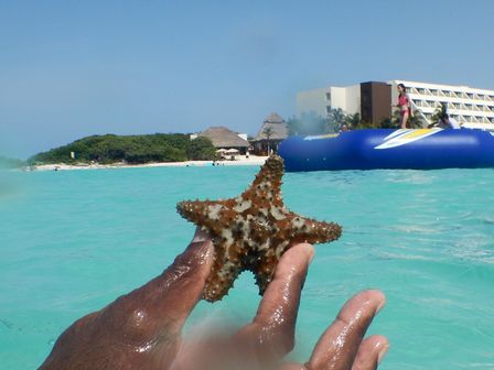 �J���N���S�R