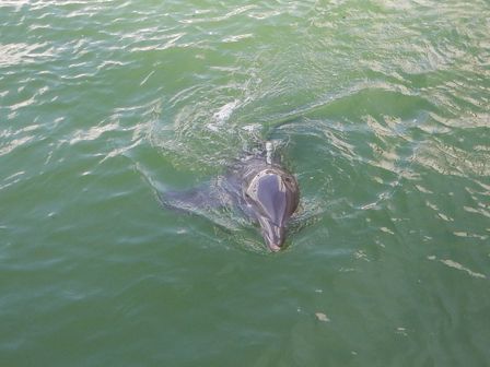 �J���N���S�V