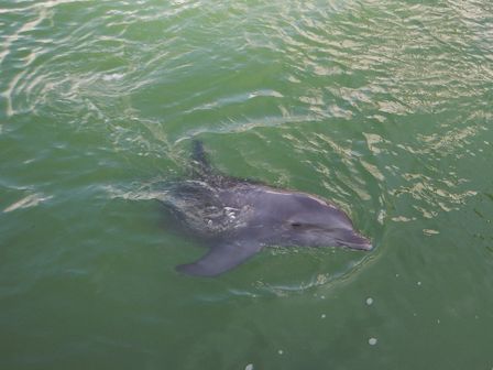 �J���N���S�W