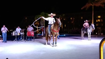 �J���N���V�T