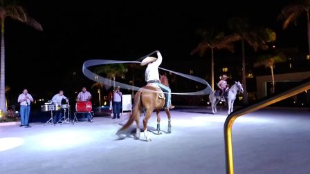 �J���N���V�U