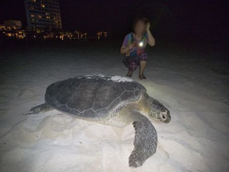 �J���N���W�W