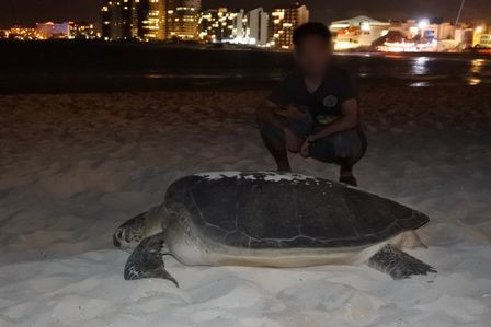 �J���N���W�X