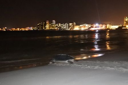 �J���N���X�O