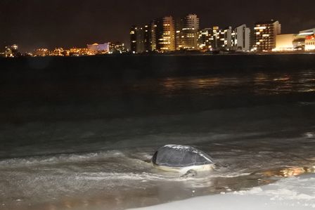 �J���N���X�P