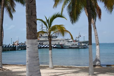 �J���N���P�V