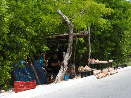 �J���N���Q�O