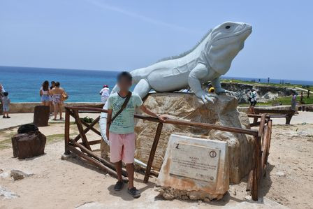 �J���N���Q�T