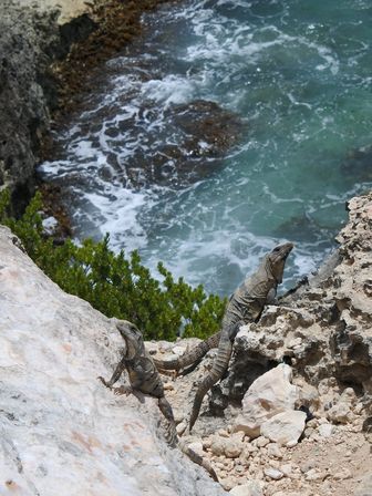 �J���N���R�O