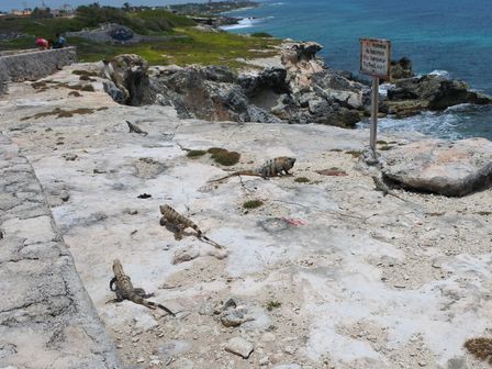 �J���N���R�Q