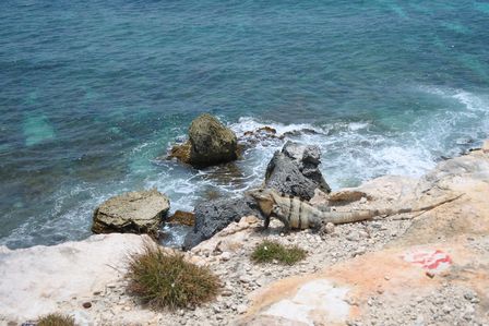 �J���N���R�S