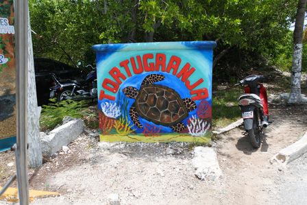 �J���N���R�V