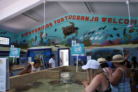 �J���N���R�W