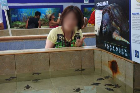 �J���N���S�R