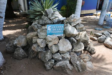 �J���N���T�O