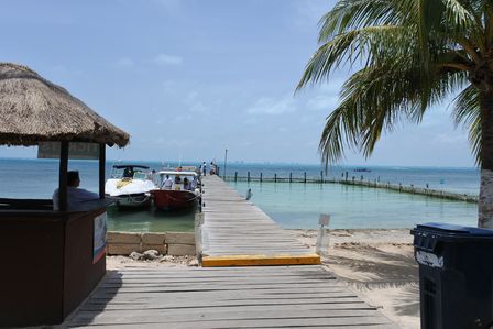 �J���N���T�S