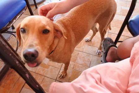 �J���N���U�W