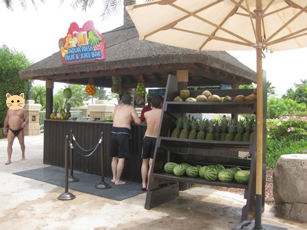 �h�o�C�R�R