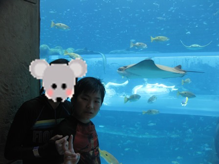 �h�o�C�S�P