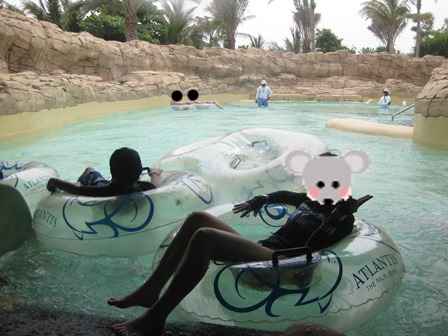 �h�o�C�T�P