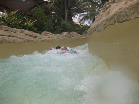 �h�o�C�T�Q