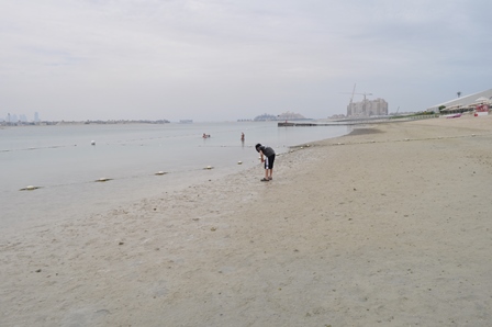 �h�o�C�Q�U