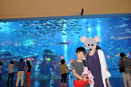 �h�o�C�R�R