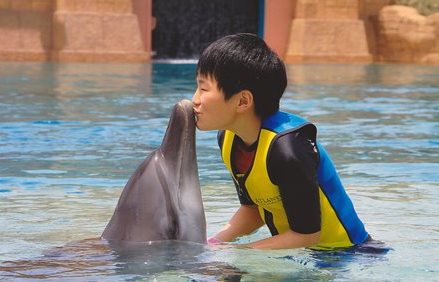 �h�o�C�R�R