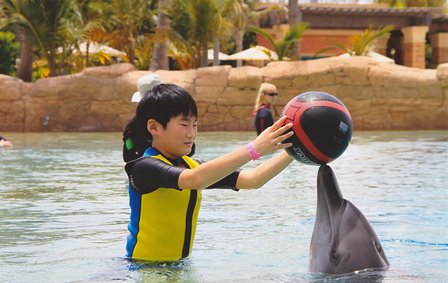 �h�o�C�R�T