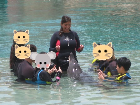 �h�o�C�R�U