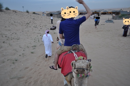 �h�o�C�U�Q