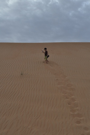 �h�o�C�T�O