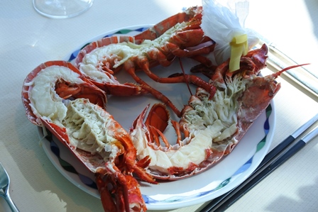 �h�o�C�T�S