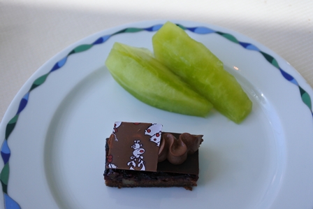 �h�o�C�V�T