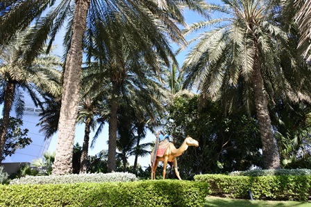 �h�o�C�W�Q