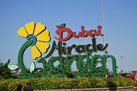 �h�o�C�P�P