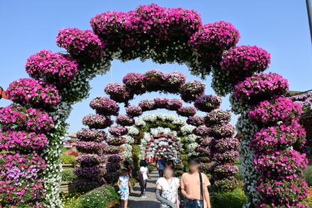 �h�o�C�P�S