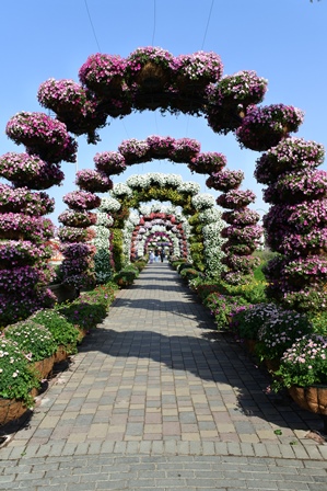 �h�o�C�P�T