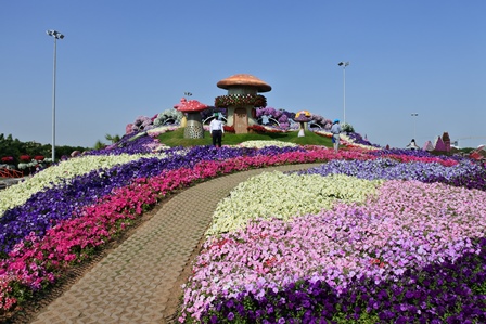 �h�o�C�P�W