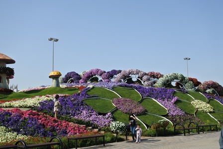 �h�o�C�Q�P