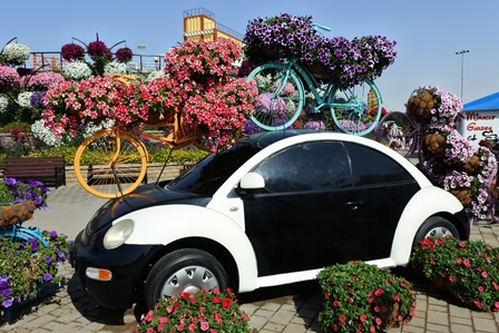 �h�o�C�Q�Q