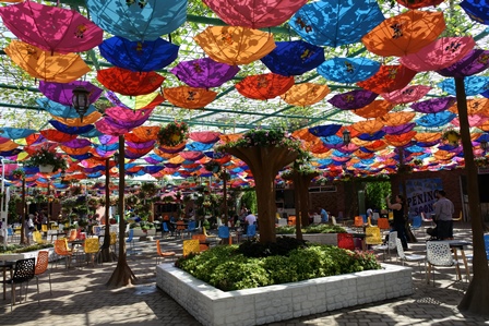 �h�o�C�Q�S