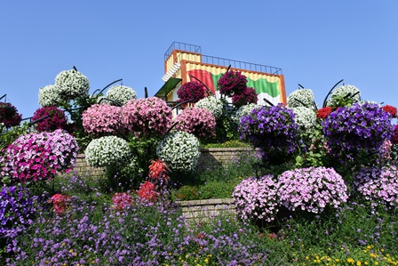 �h�o�C�Q�T