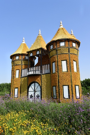 �h�o�C�Q�X