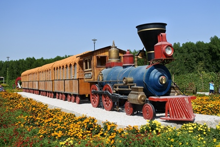 �h�o�C�R�P